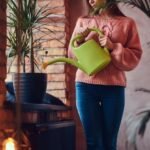 Dicas de jardinagem para apartamento