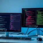 Monitor para programador: Dell U2415 vs LG 24MK600M, qual é o ideal?